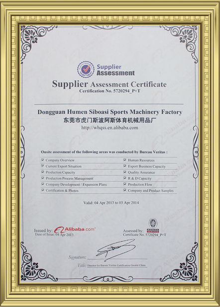 चीन Dongguan Skyegle Intelligent Technology Co.,Ltd. प्रमाणपत्र